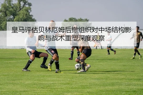 img_1782302639404_577_1_494.jpg