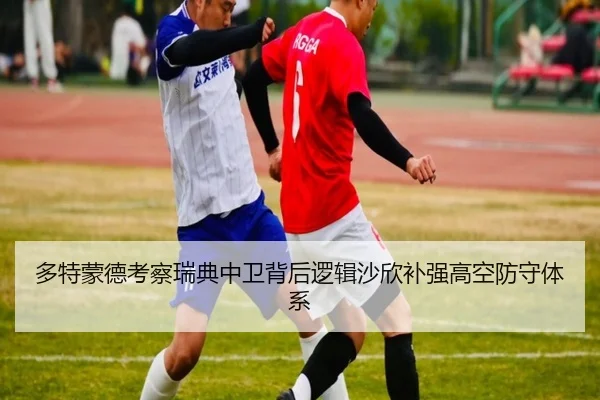 多特蒙德考察瑞典中卫背后逻辑沙欣补强高空防守体系